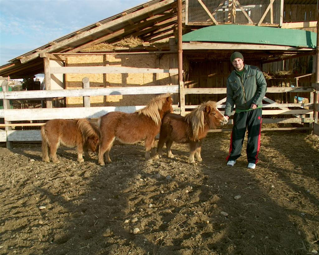 Cine este proprietarul renilor Rudolf şi Blitz, vedetele Targului de Craciun din Arad