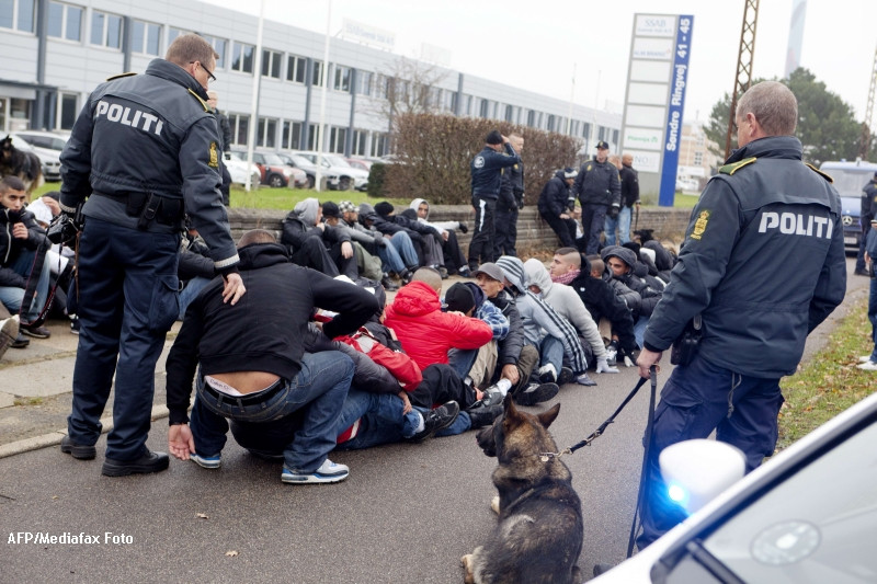 Umilinta incredibila indurata de zeci de romani, in Danemarca.Incatusati si fotografiati, fara motiv