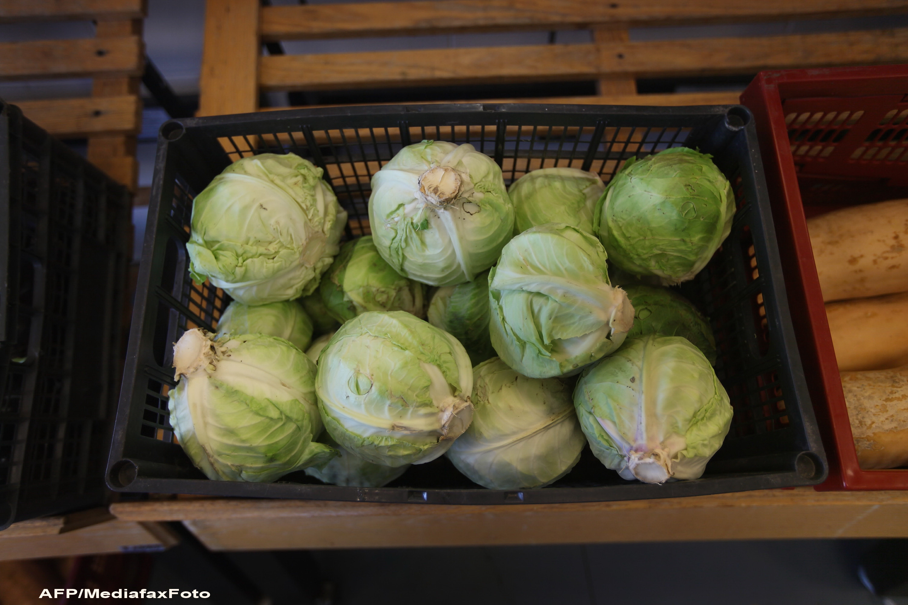 Eurodeputatii romani vor primi cosuri cu LEGUME olandeze, ca reactie la declaratiile lui Basescu