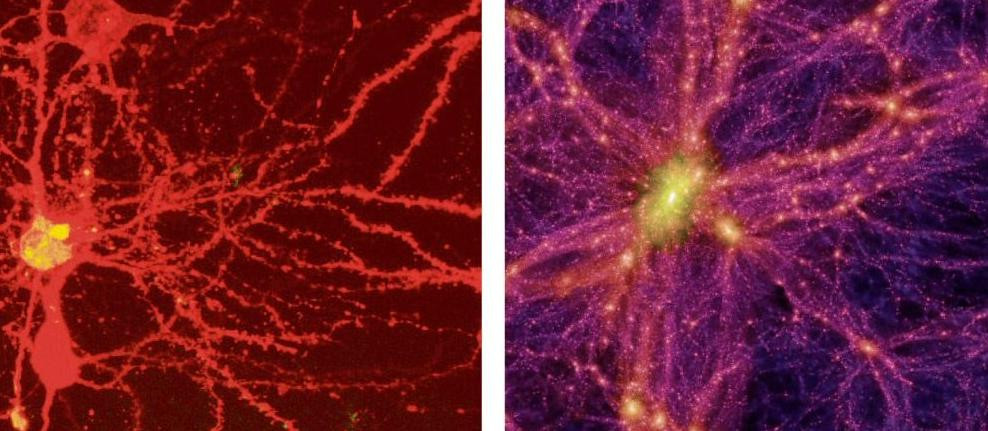 Arata aproape identic, dar reprezinta lucruri total diferite. Ce vedeti in acest poze?