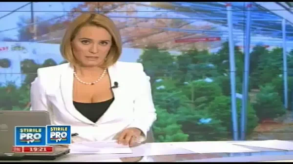 Cat ne costa bradul de Craciun? Preturile incep de la 70 de lei si pot ajunge pana la 800