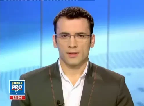 CC a amanat discutia despre constitutionalitatea Legii privind eutanasierea cainilor comunitari