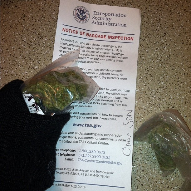 Mesajul amuzant pe care l-a gasit in bagaj un star dupa ce agentii de securitate i-au vazut "iarba"