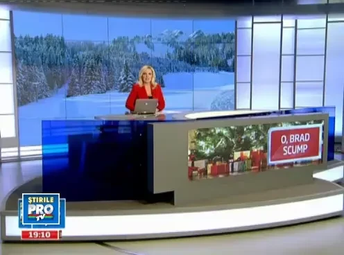 Bradul cel frumos cu cetina tot verde,mai scump inainte de Craciun.Cat costa cel mai ieftin exemplar