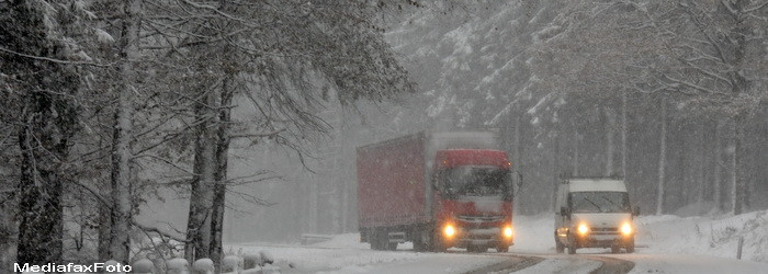 Decembrie e o luna trista fara zapada. Cum se traiesc Sarbatorile pe vreme de primavara