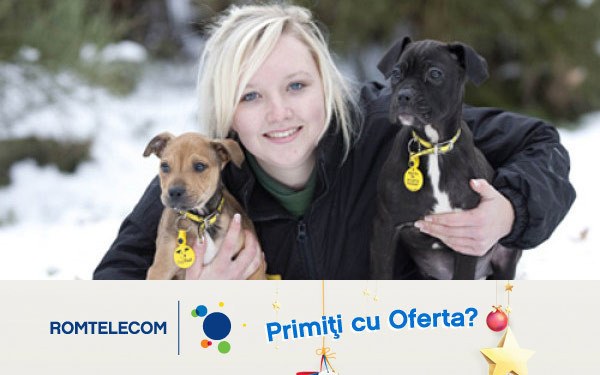 Darul la viata. Povestea emotionanta a doi catei care au fost abandonati fara mila chiar de Craciun