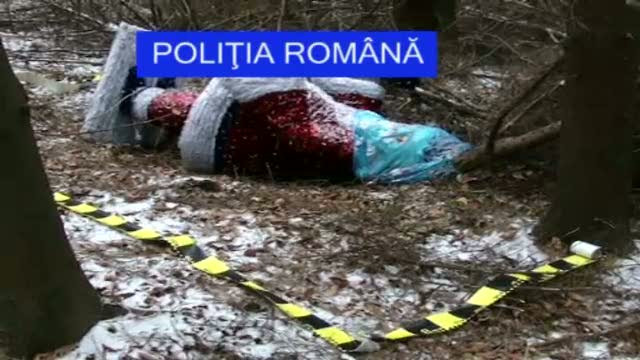 "L-am rapit pe Mosul. Daca anuntati politia, o va incasa" - gluma care ii poate baga la puscarie