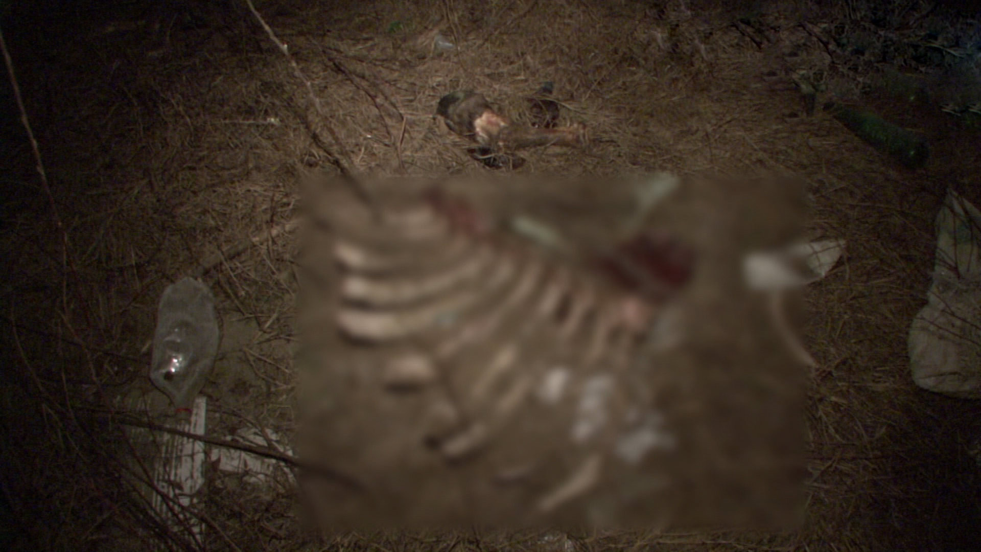 Masacru in Targu Jiu. Cadavrele a zeci de caini, gasite pe malul raului. VIDEO