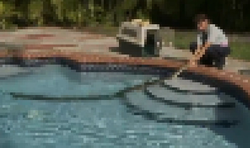 VIDEO. Ultimul lucru pe care ai vrea sa-l gasesti in piscina ta