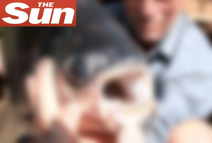 FOTO. Asa arata creatura care omoara barbatii in cel mai cumplit mod posibil