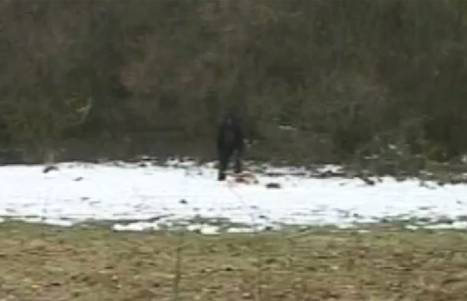 Unul dintre cele mai mari mistere din istoria paranormalului, descifrat in sfarsit. Ce spun biologii