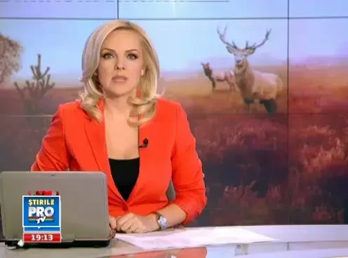 Imagine de cosmar: zeci de caprioare moarte, dupa ce au mancat iarba otravita