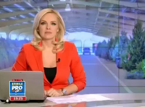 Pentru ca au fost prea scumpi, brazii au ajuns gramezi in paduri de gunoaie