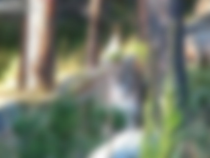 VIDEO. Intalnire de gradul 0 in mijlocul salbaticiei. Tu cum ai reactiona?