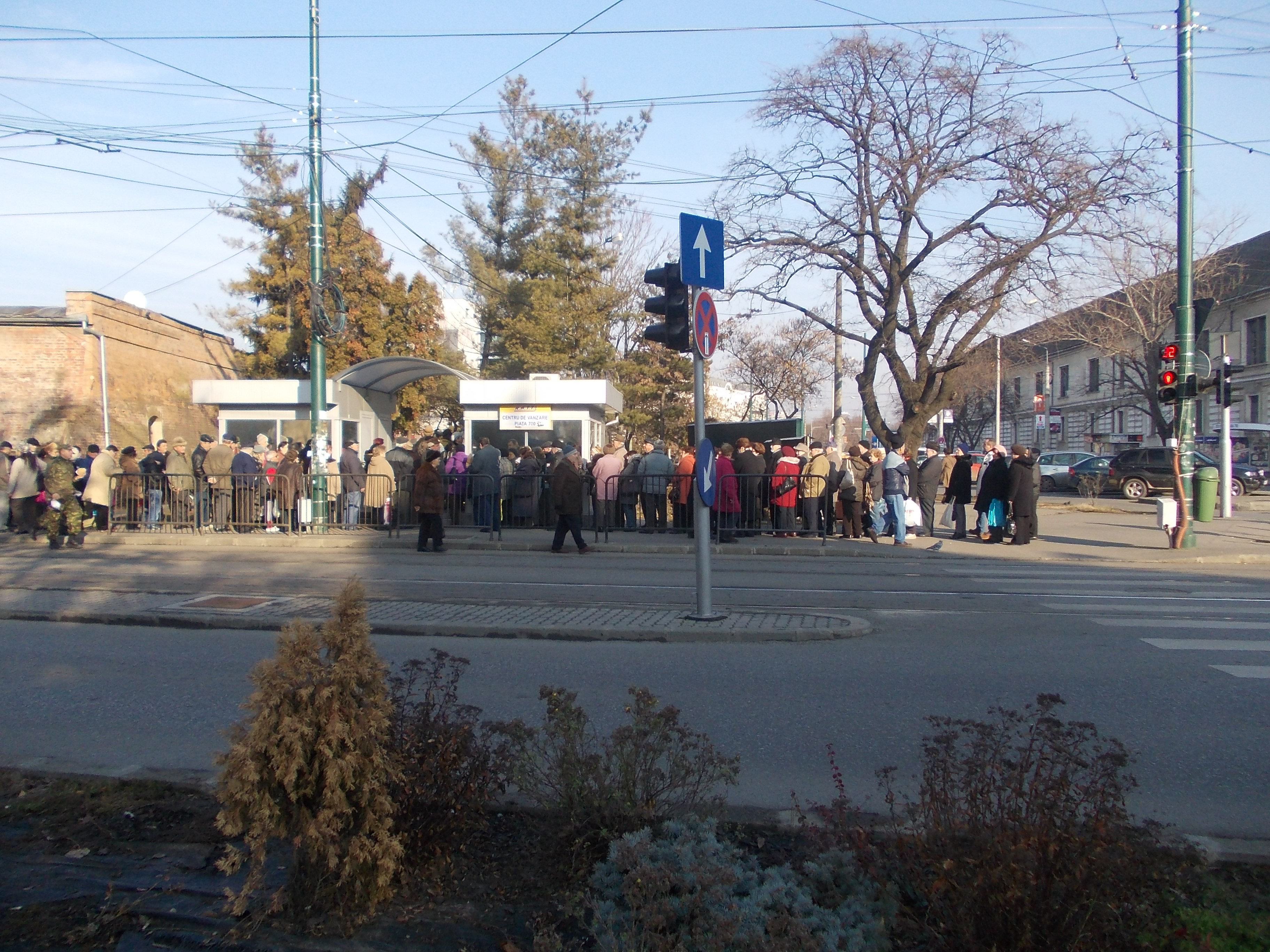 Cardurile gratuite RATT au scos din casa zeci de pensionari timisoreni, care fac cozi la ghisee