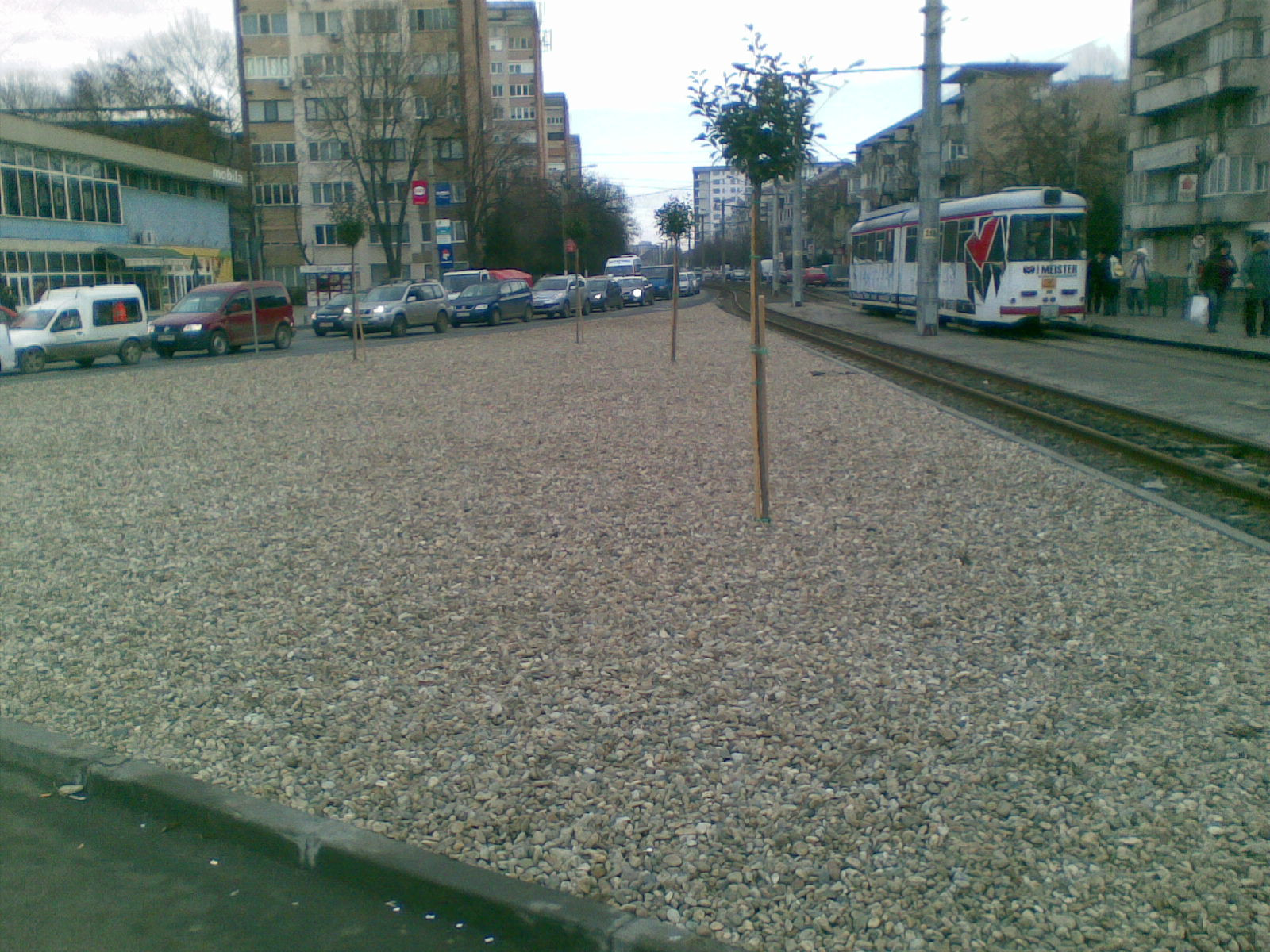 Primaria Arad reamenajeaza spatiile verzi: pietris peste gazon