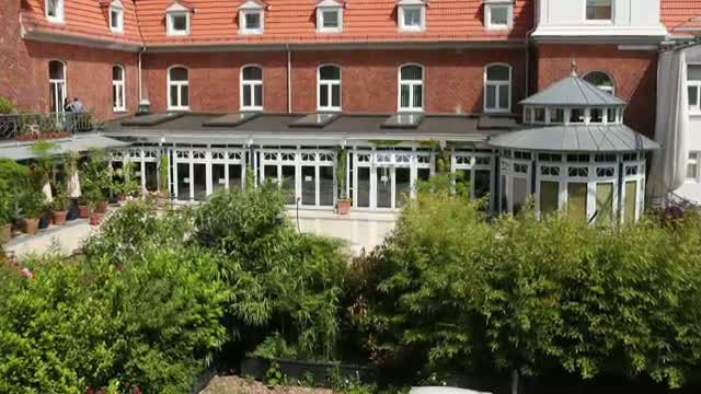 Copacii plantati pe acoperis, un proiect care va deveni realitate si in Bucuresti