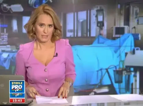 Problema silicoanelor periculoase, semnalata inca din 2005. Ce masuri ar putea fi luate in Europa