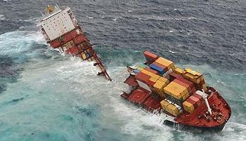 Dezastru maritim in Noua Zeelanda. Un cargo s-a rupt in doua: sute de tone de petrol ucid pasarile