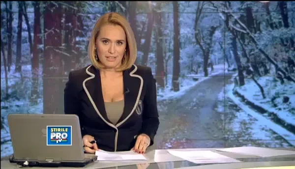 Atacul caprioarelor. Bambi si prietenii lui au ajuns in numar extrem de mare in vestul tarii