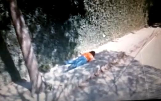 VIDEO. Imaginea pe care Google Street View a cenzurat-o dupa ce a ras de ea tot internetul