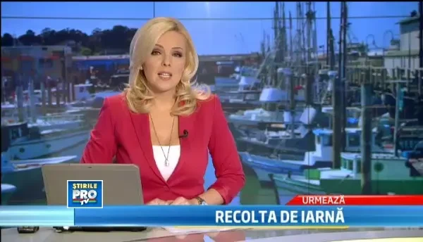 Aveti nevoie de un specialist pentru a stabili valoarea unui yacht? Basescu e expert judiciar