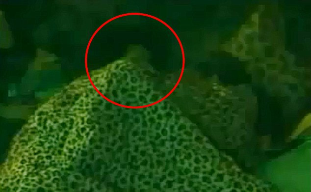 VIDEO. Viol urmarit in direct la televizor, de cateva milioane de oameni. Cum a fost posibil