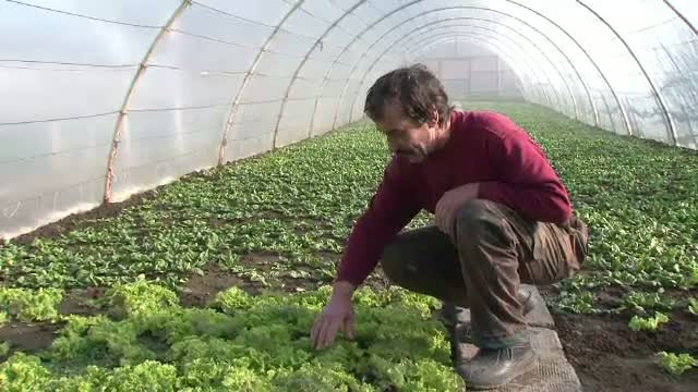 Exista profit si dupa somaj. Disponibilizatii s-au apucat de agricultura. Si chiar scot bani