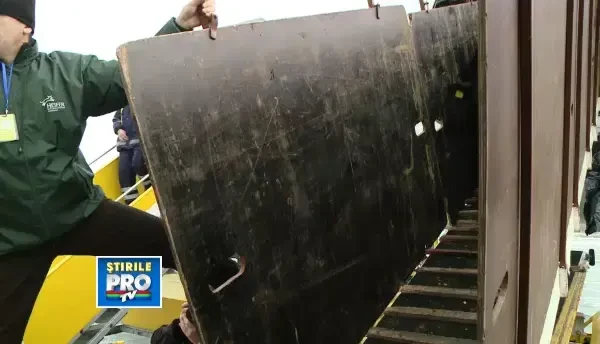 66 de vacute au aterizat la Timisoara