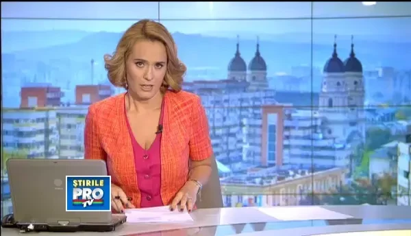 Udrea: In alte tari opozitia e constructiva. Nu speculeaza un context pentru a ajunge la putere