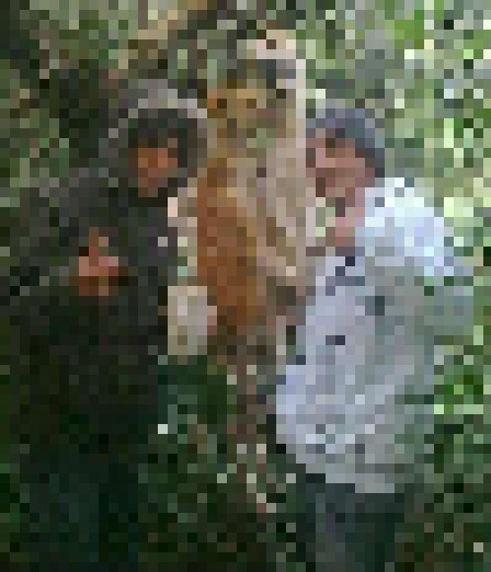 FOTO SOCANT. Imaginea care a ingrozit Facebook-ul. "Sa prindem criminalii"