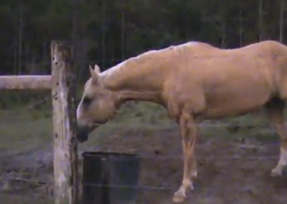 VIDEO. "Ce naiba s-a intamplat?". FAKE sau nu, toata lumea RADE la clipul asta