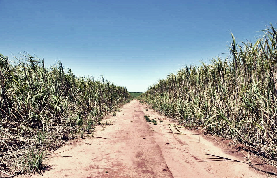 Orasele-fantoma din Vestul american se trezesc la viata