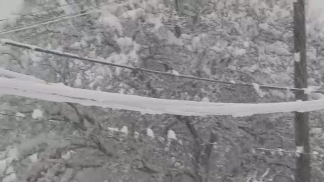 Viscolul si gerul au lasat fara curent electric mai multe localitati din tara