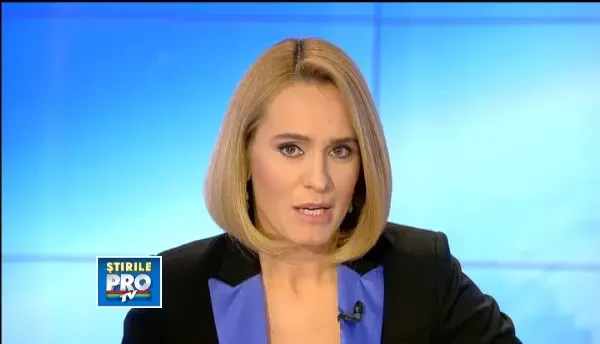 19_curteconstitutionala