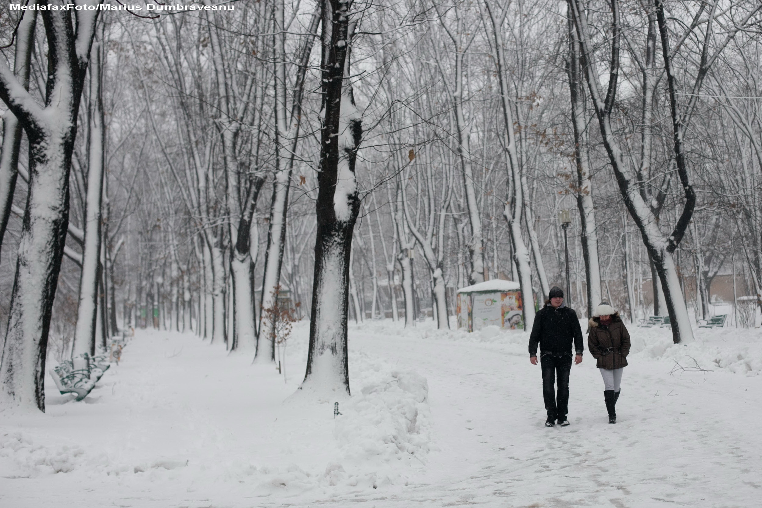 Turistii blocati in statiuni din cauza viscolului pot apela o linie TELVERDE pentru a primi ajutor