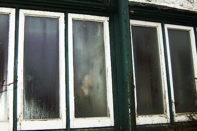 GALERIE FOTO: Surpriza din aceasta imagine