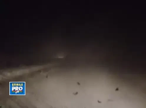 Romania sub zapada. Imagini primite de la utilizatori - 2