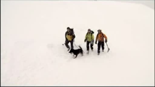 Unde ar trebui sa caute liderii mondiali solutii la criza economica. Sfatul unui jurnalist CNN