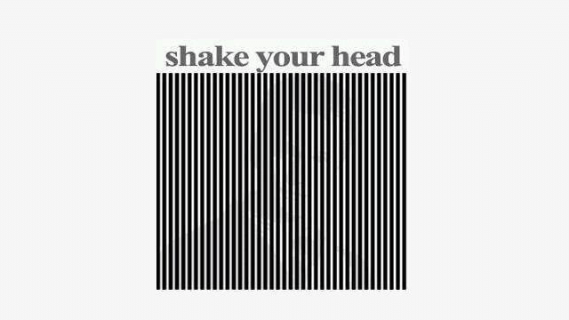 Imaginea pe care o vezi doar daca dai din cap