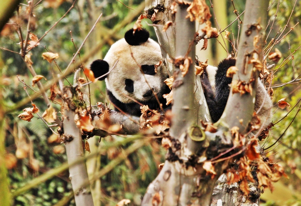 30 ianuarie este cea mai fericita zi de luni din 2012