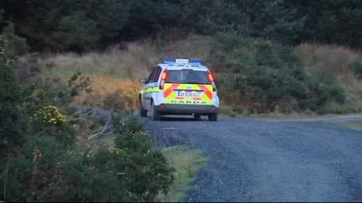 Detalii cutremuratoare in cazul romancei ucise in Irlanda. Cine este criminalul