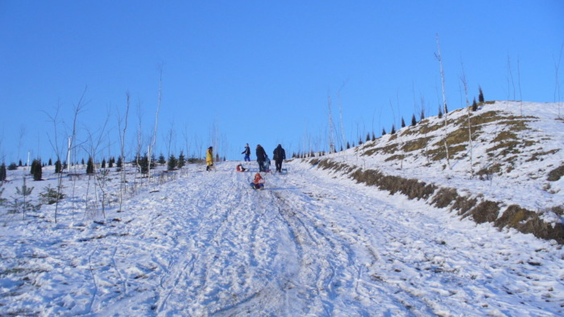 Joaca de copii transformata in tragedie. Un baiat de 13 ani a murit la sanius