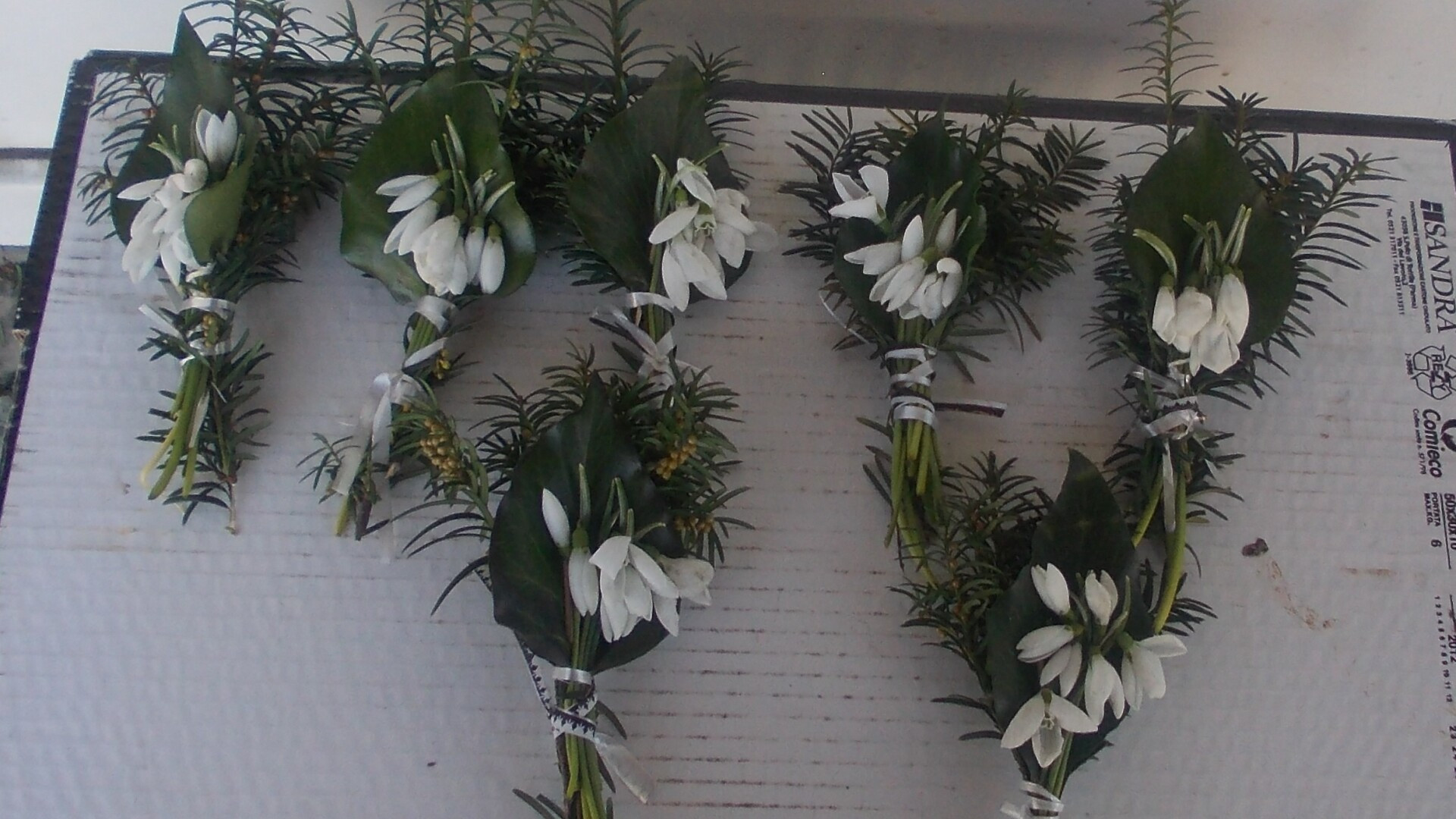 Nimeni nu stie ca sunt extrem de toxice: ce s-a gasit in buchetele de ghiocei aflate la vanzare