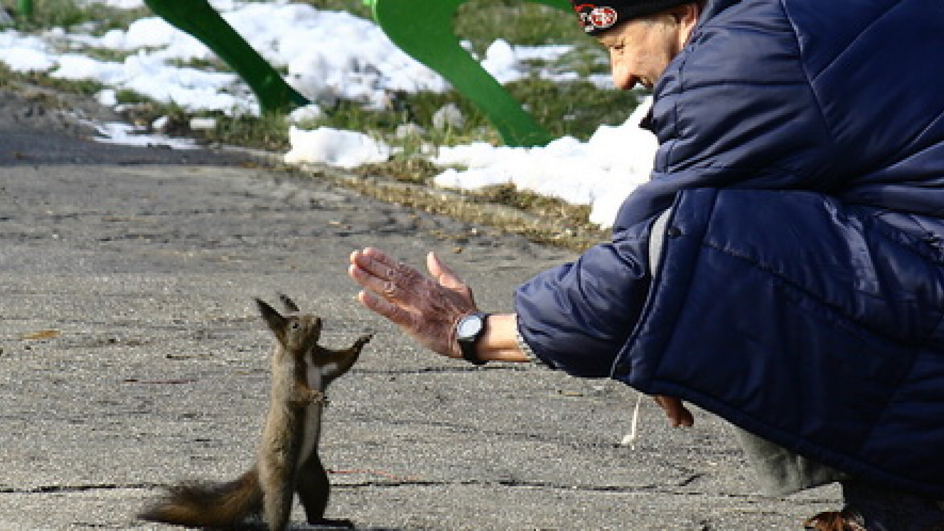 Prognoza meteo pe urmatoarele TREI LUNI. Cand vine primavara