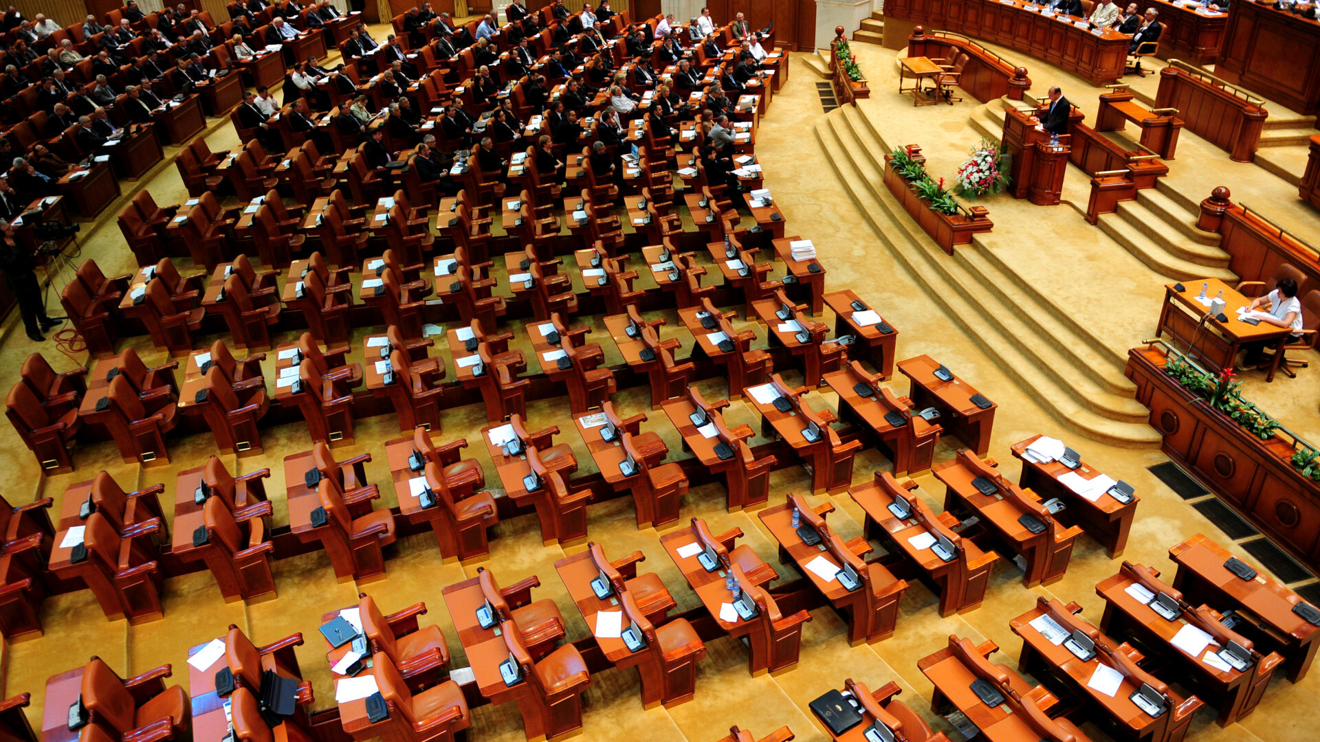 parlament fara opozitie