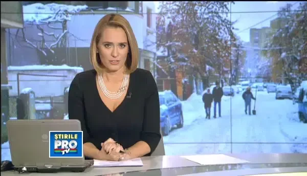 Haine pentru animalele de companie: must have pentru sezonul rece