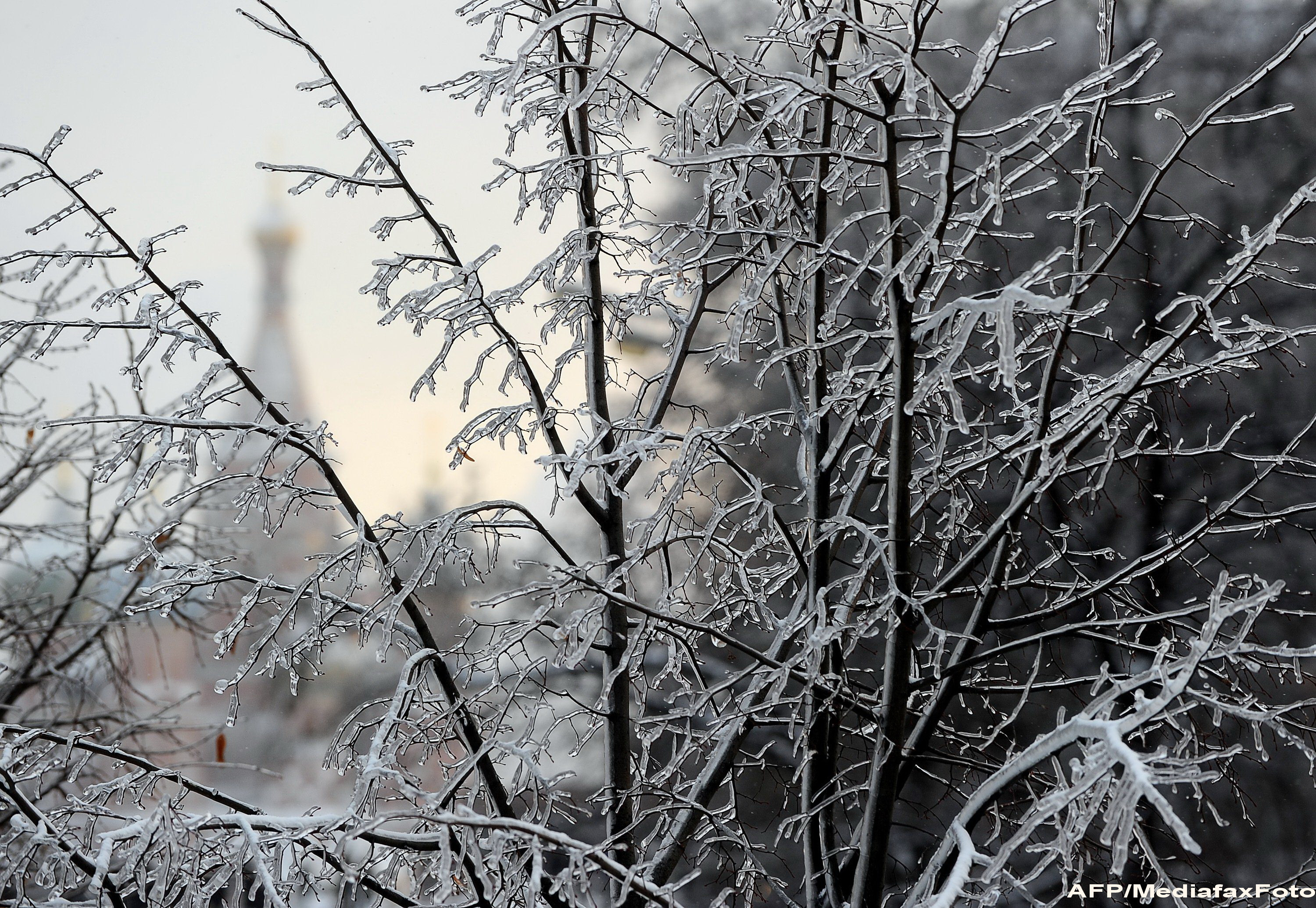 "Freezing rain" | Ploaie inghetata