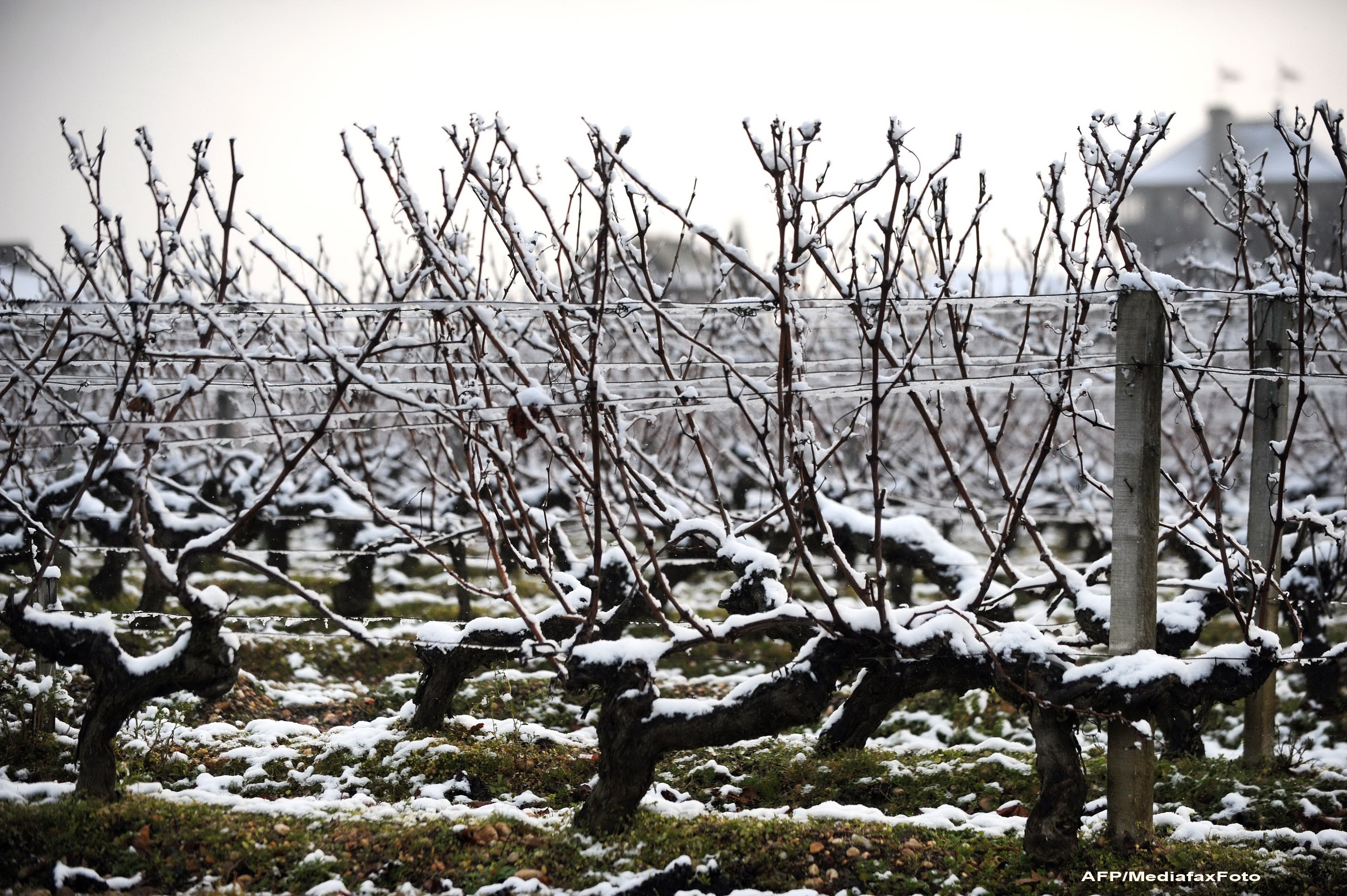 "Freezing rain" | Ploaie inghetata