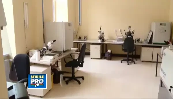 VIDEO. Zeci de femei beneficiază gratuit de programul de fertilizare in vitro